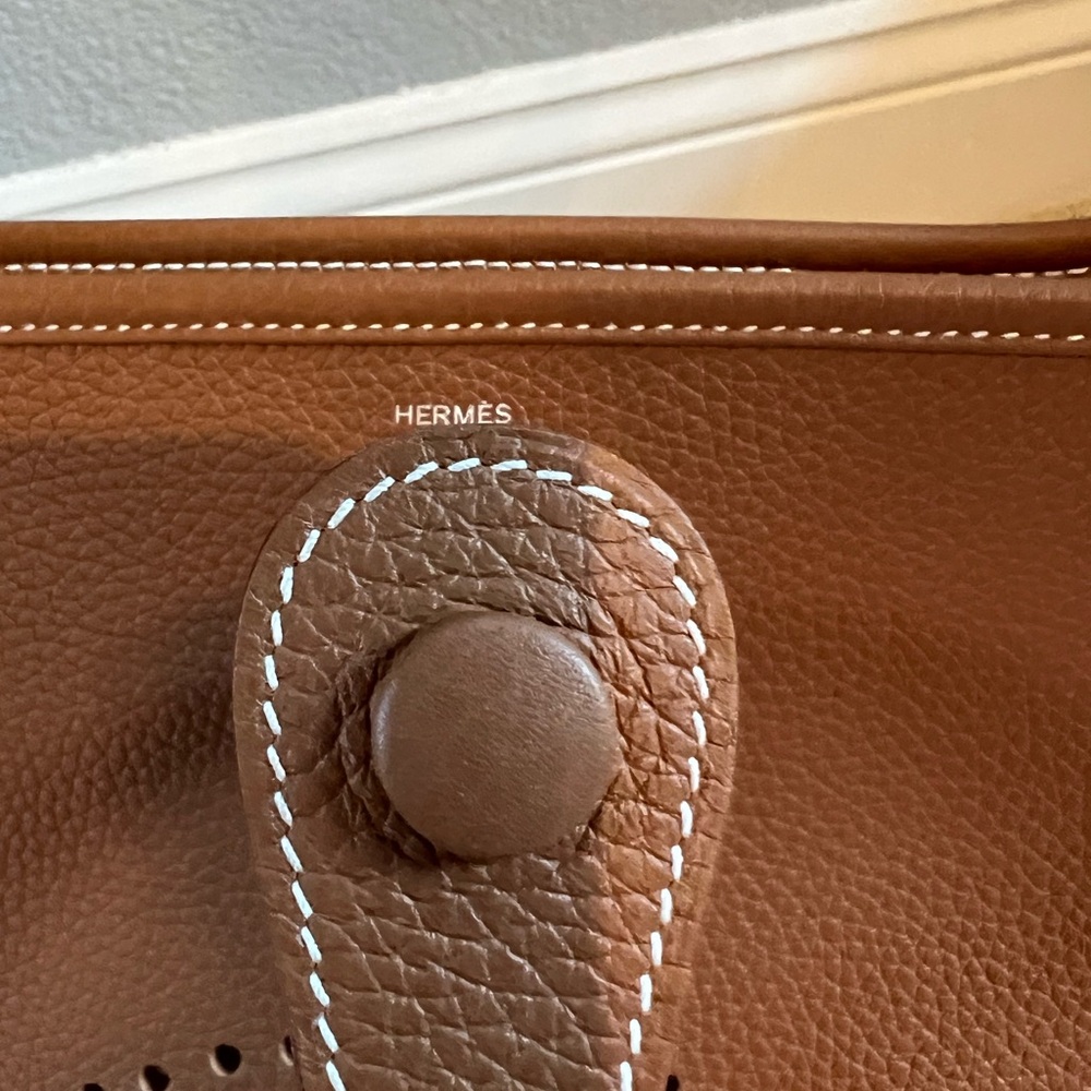 Evelyne III PM Brown Leather Shoulder Bag - Picture 5 of 10